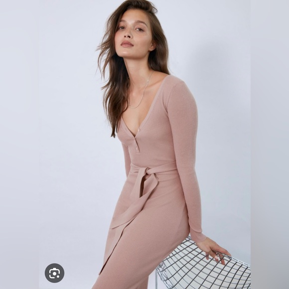 Babaton Dresses & Skirts - Aritzia The Group by Babaton Henley Sweater Dress in Fawn Pink